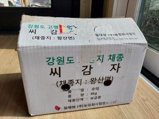 금동이네님의 감자 · 자유게시판 작성글 사진