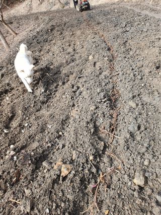 예천토종꿀벌 님의 자유주제 · 자유게시판 작성글 사진