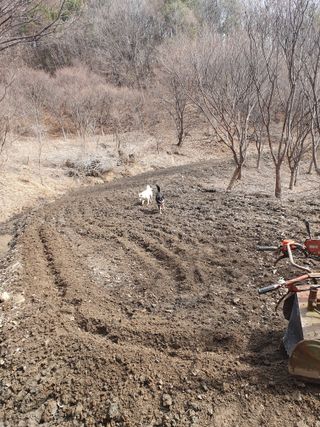예천토종꿀벌 님의 자유주제 · 자유게시판 작성글 사진