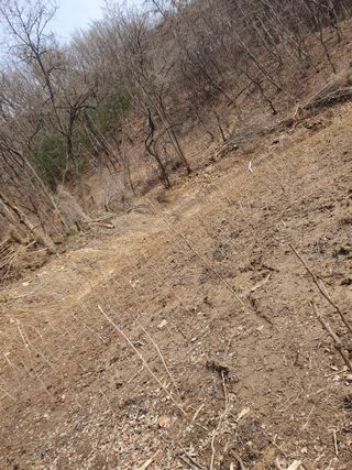 예천토종꿀벌 님의 자유주제 · 자유게시판 작성글 사진