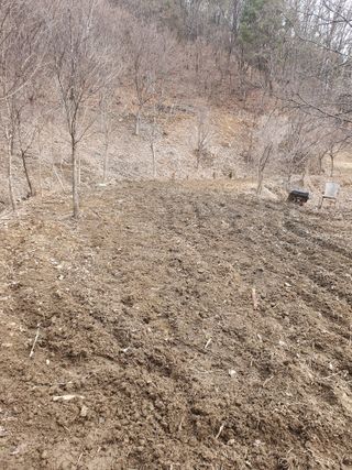 예천토종꿀벌 님의 자유주제 · 자유게시판 작성글 사진