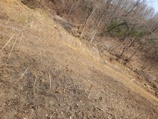 예천토종꿀벌 님의 자유주제 · 자유게시판 작성글 사진