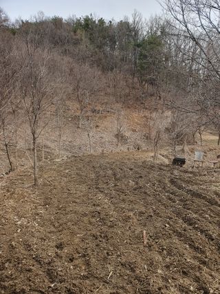 예천토종꿀벌 님의 자유주제 · 자유게시판 작성글 사진