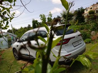 행복한텃밭님의 기타작물 · 병해충상담 작성글 사진