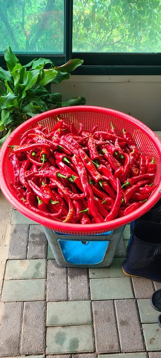 김원태 님의 팜모닝 · 출석 작성글 사진