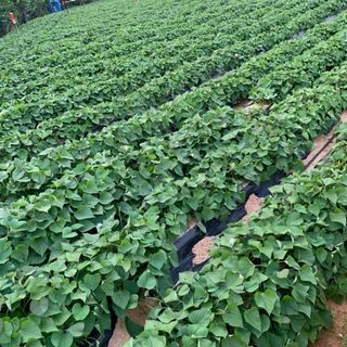 이영민님의 작성글 사진