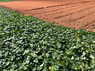 이영민님의 작성글 사진