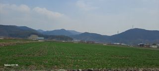 사천시향촌동 돼지띠님의 자유주제 · 자유게시판 작성글 사진