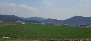 사천시향촌동 돼지띠님의 자유주제 · 자유게시판 작성글 사진