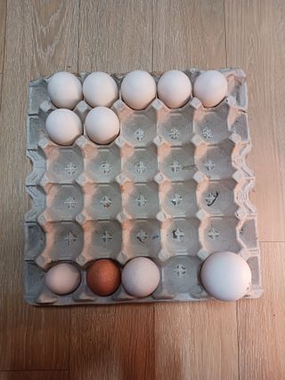 상민님의 작성글 사진