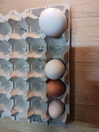 상민님의 작성글 사진