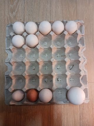 상민님의 작성글 사진