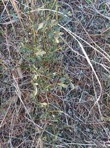 팜모닝 · 게시글 이미지