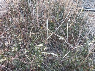 상민님의 작성글 사진