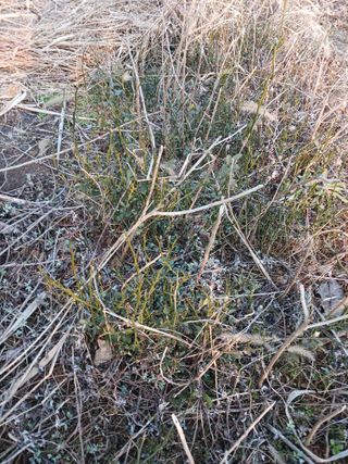 상민님의 작성글 사진