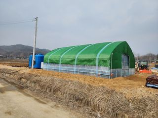 횡성군자연인님의 배추 · 일상 작성글 사진