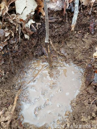 유병욱님의 기타작물 · 영농일지 작성글 사진