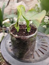 팜모닝 자유주제·자유게시판 게시글 이미지