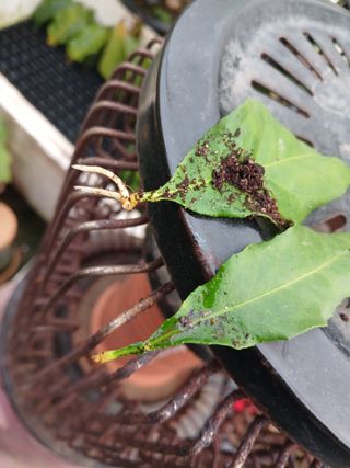 자기왕사랑해님의 자유주제 · 자유게시판 작성글 사진