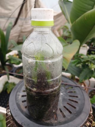 자기왕사랑해님의 자유주제 · 자유게시판 작성글 사진