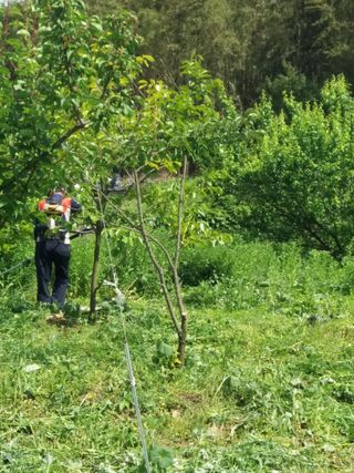 알 수 없음님의 선도농가에 선정된 소감은? · 참여글 작성글 사진