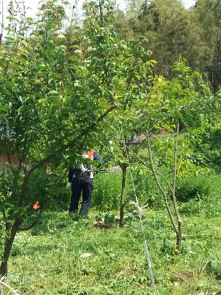 알 수 없음님의 선도농가에 선정된 소감은? · 참여글 작성글 사진