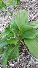 팜모닝 자유주제·자유게시판 게시글 이미지