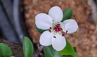 이정운님의 기타작물 · 자유게시판 작성글 사진