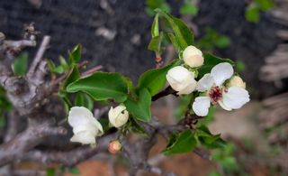 이정운님의 기타작물 · 자유게시판 작성글 사진