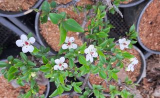 이정운님의 기타작물 · 자유게시판 작성글 사진