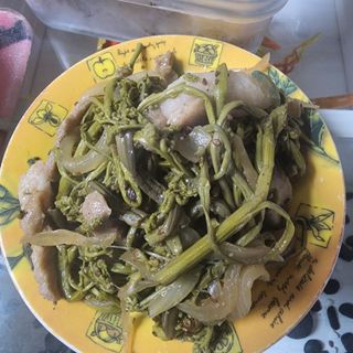 제주부자팜님의 자유주제 · 자유게시판 작성글 사진