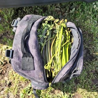 제주부자팜님의 자유주제 · 자유게시판 작성글 사진