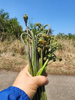 제주부자팜님의 자유주제 · 자유게시판 작성글 사진