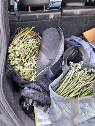 제주부자팜님의 자유주제 · 자유게시판 작성글 사진