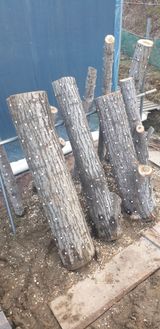 팜모닝 자유주제·자유게시판 게시글 이미지