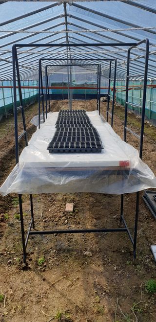 밤가시 여주농장님의 자유주제 · 자유게시판 작성글 사진