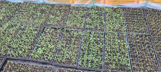 정오농장님의 자유주제 · 자유게시판 작성글 사진