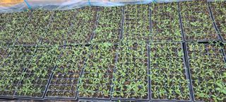 정오농장님의 자유주제 · 자유게시판 작성글 사진