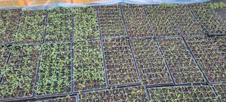 정오농장님의 자유주제 · 자유게시판 작성글 사진