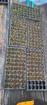 팜모닝 자유주제·자유게시판 게시글 이미지