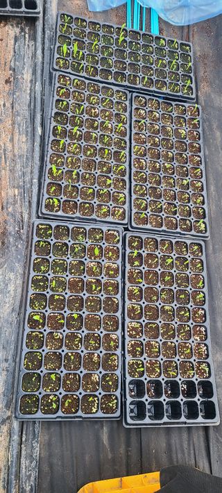 정오농장님의 자유주제 · 자유게시판 작성글 사진