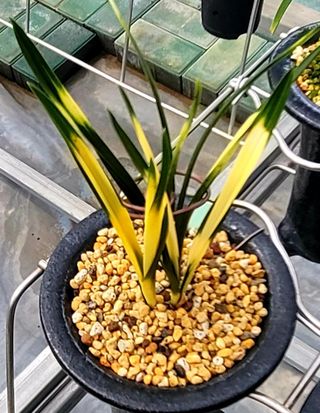 야산 양 형근님의 자유주제 · 자유게시판 작성글 사진