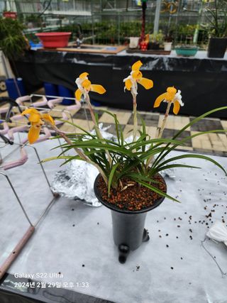 야산 양 형근님의 자유주제 · 자유게시판 작성글 사진