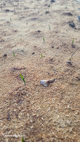 팜모닝 자유주제·사진전 게시글 이미지