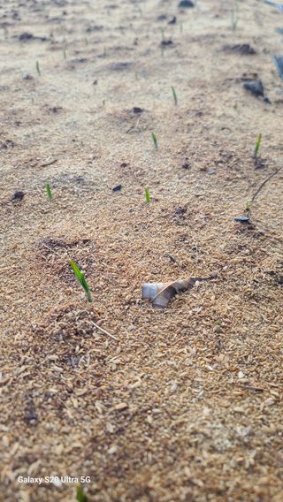 영월산지기148님의 자유주제 · 사진전 작성글 사진