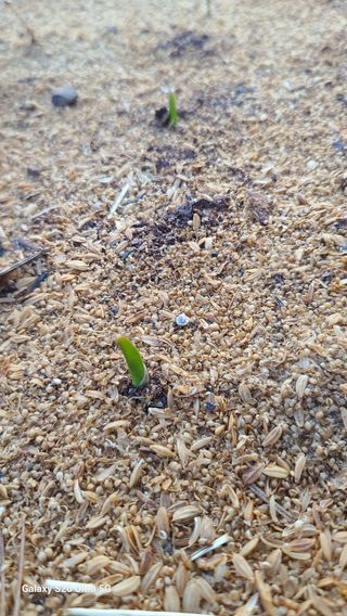 영월산지기148님의 자유주제 · 사진전 작성글 사진