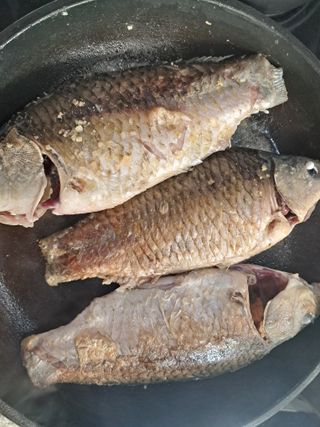 별빛농장지기님의 복숭아 · 자유게시판 작성글 사진