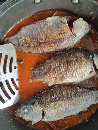 별빛농장지기님의 복숭아 · 자유게시판 작성글 사진