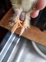 팜모닝 자유주제·자유게시판 게시글 이미지