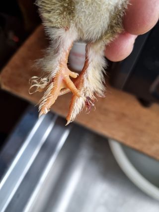 풍요님의 자유주제 · 자유게시판 작성글 사진